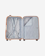 ديلسي باريس مونسي 2.0 (مجموعة مميزة)