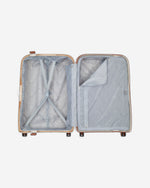 ديلسي باريس مونسي 2.0 (مجموعة مميزة)