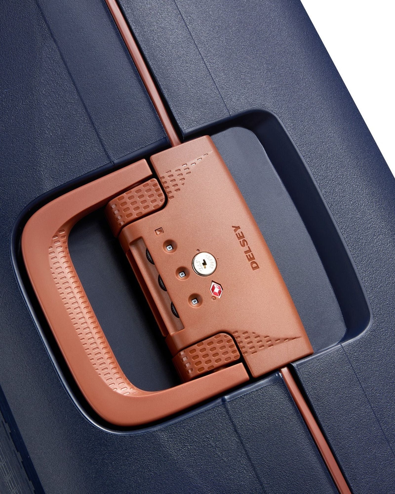 ديلسي باريس مونسي 2.0 (مجموعة مميزة)