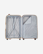 ديلسي باريس مونسي 2.0 (مجموعة مميزة)