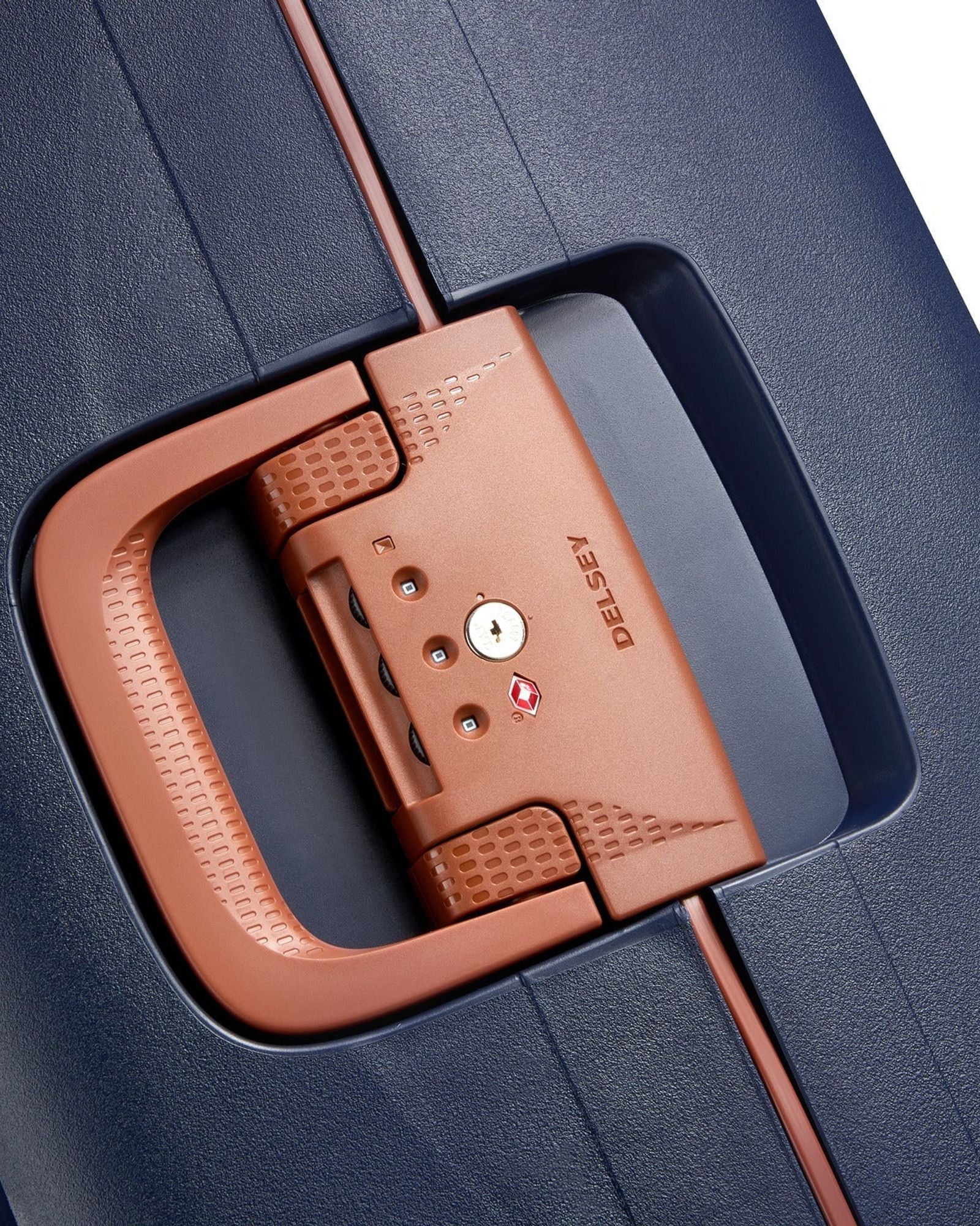 ديلسي باريس مونسي 2.0 (مجموعة مميزة)