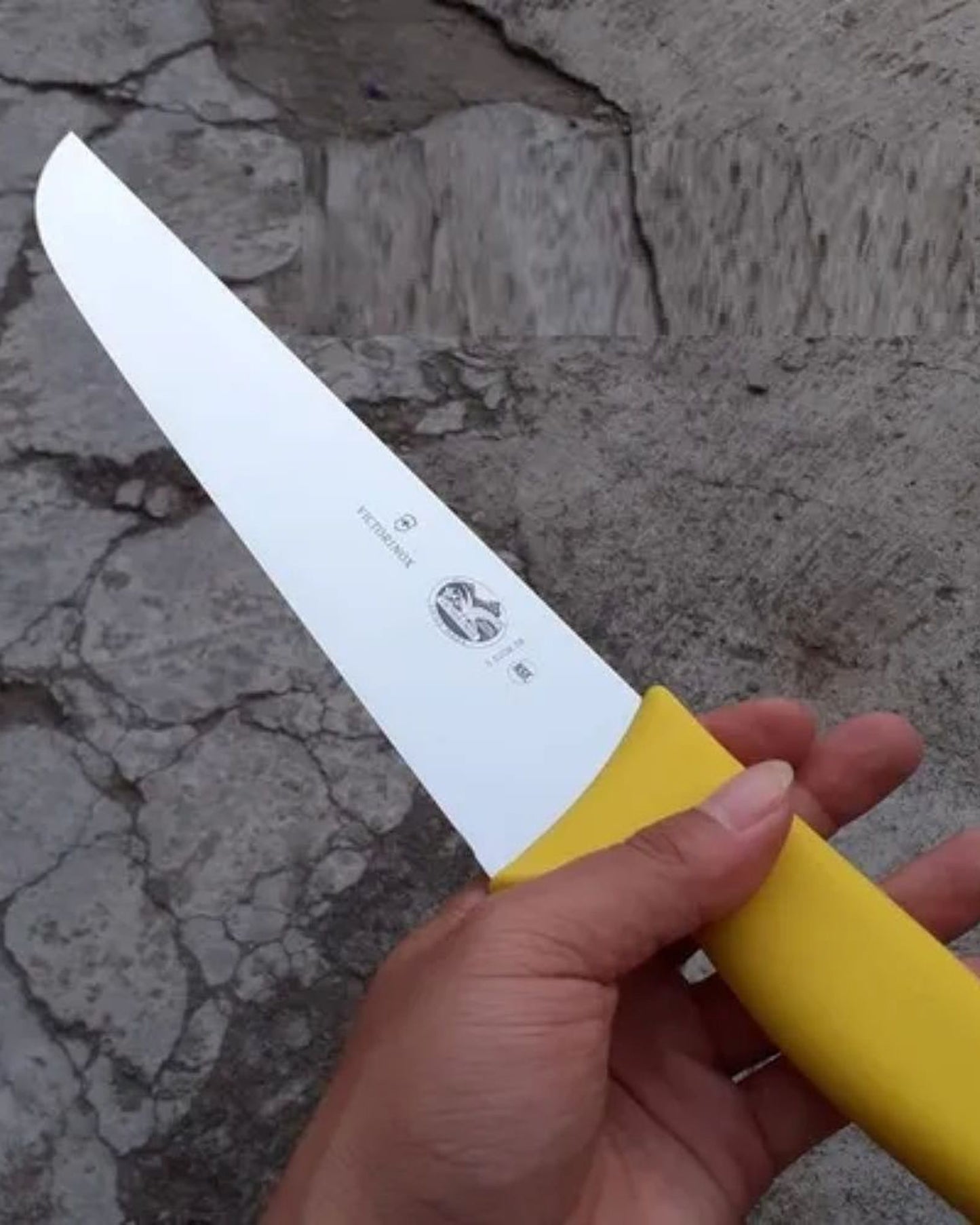 سكين فيكتورينوكس فايبروكس للالتصاق، 22 سم، أسود مستقيم - 5.5503.22