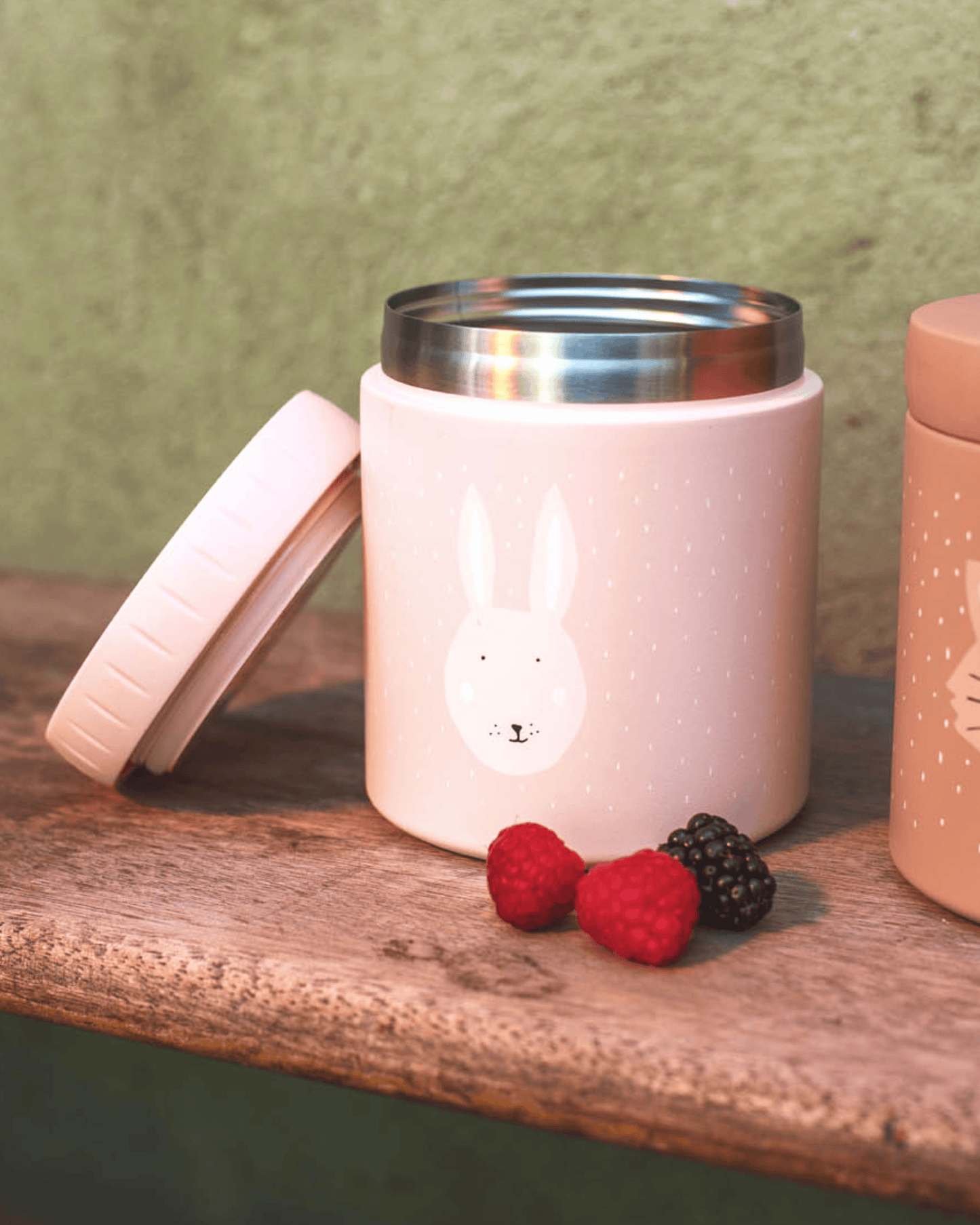 Trixie Double Wall Insulated Food Jar - 500ml - Mrs. Rabbit