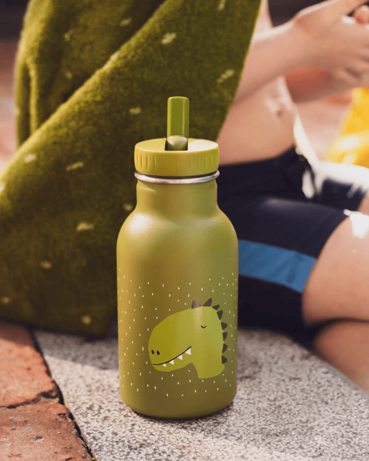 Trixie Double Wall Insulated Water Bottle - 350ml - Mr. Dino