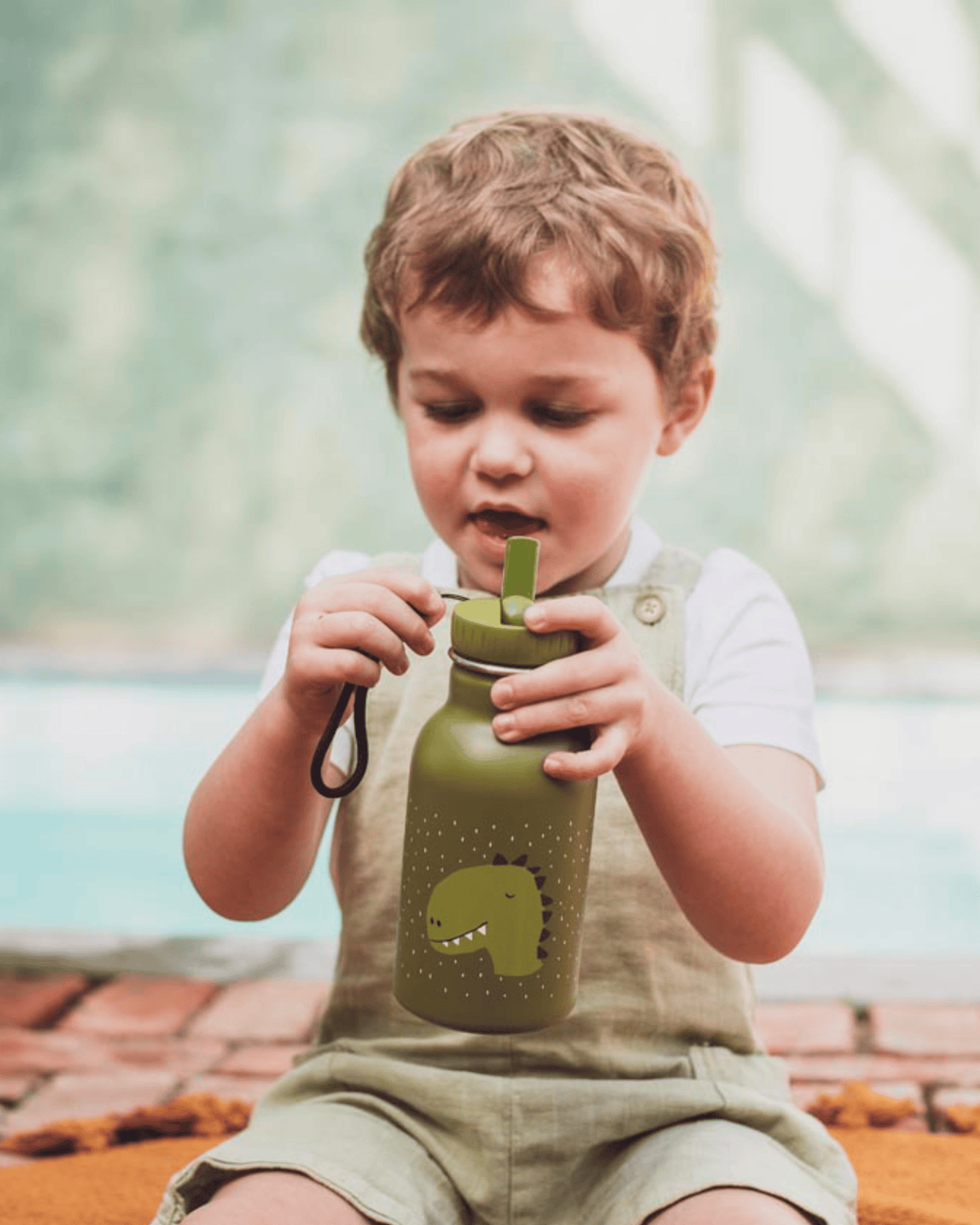 Trixie Double Wall Insulated Water Bottle - 350ml - Mr. Dino