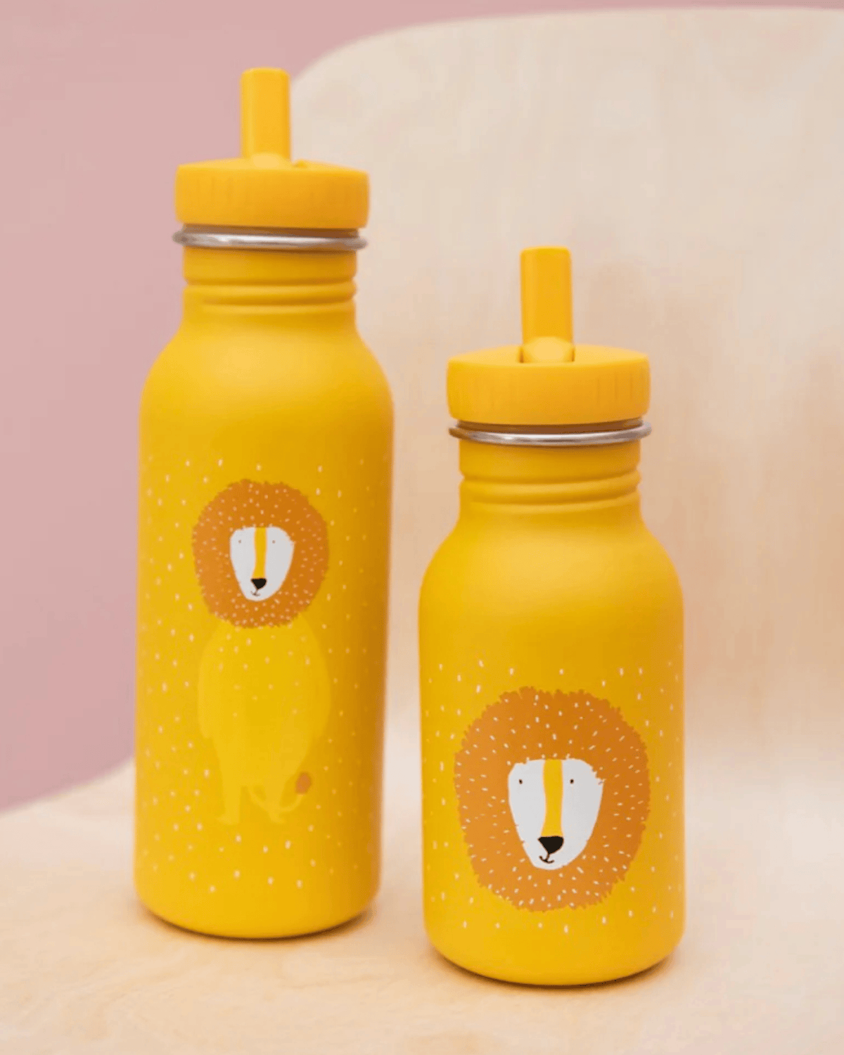 Trixie Double Wall Insulated Water Bottle - 350ml - Mr. Lion