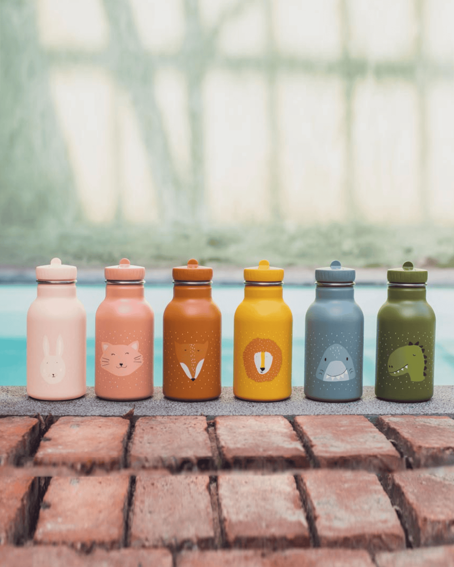 Trixie Double Wall Insulated Water Bottle - 350ml - Mr. Lion
