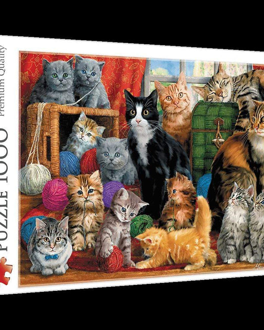 ألغاز 1000 لقاء القطط