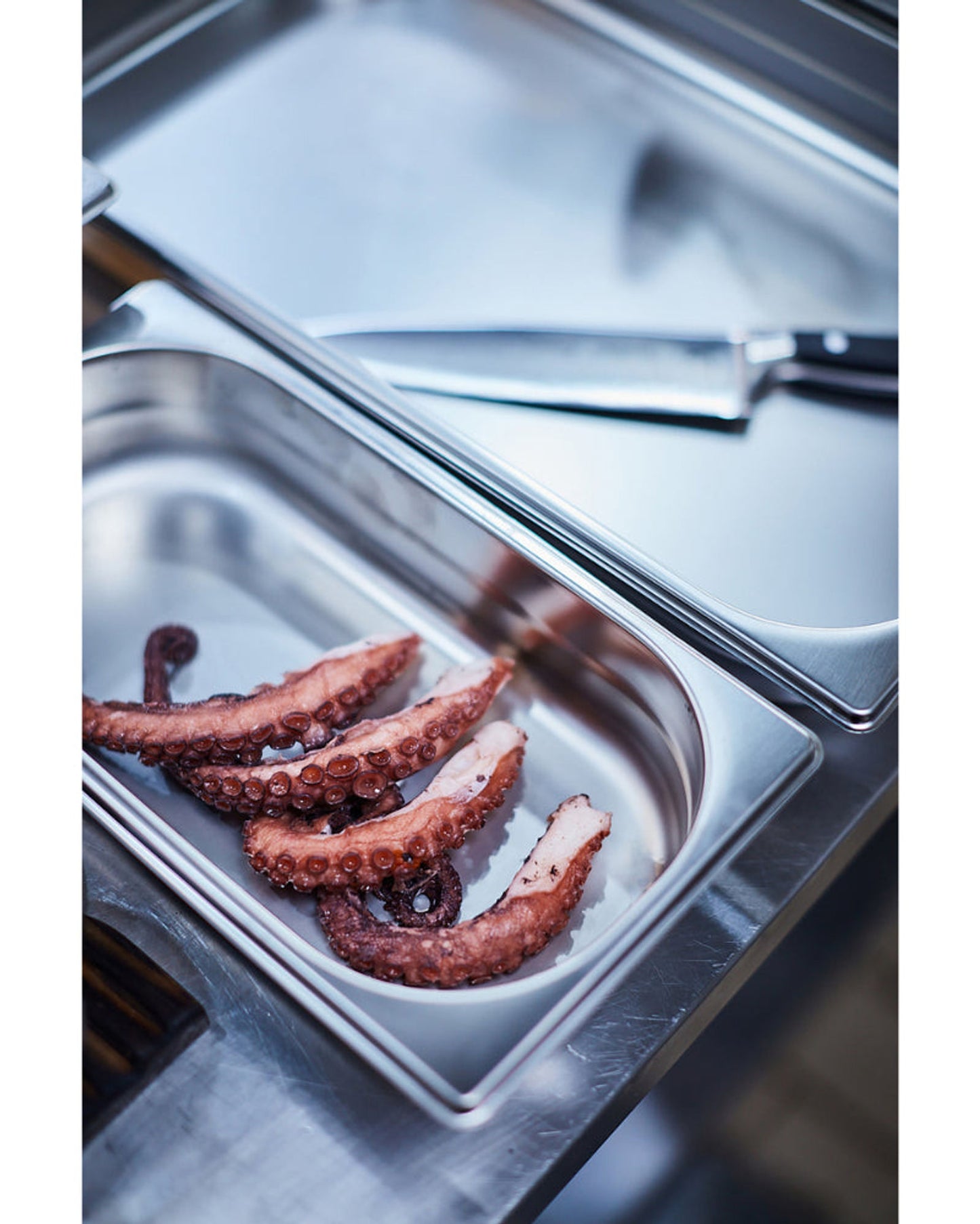 صينية طعام ترامونتينا GN 1/3 من الفولاذ المقاوم للصدأ بدون مقابض، عمق 40 مم - فولاذ 304