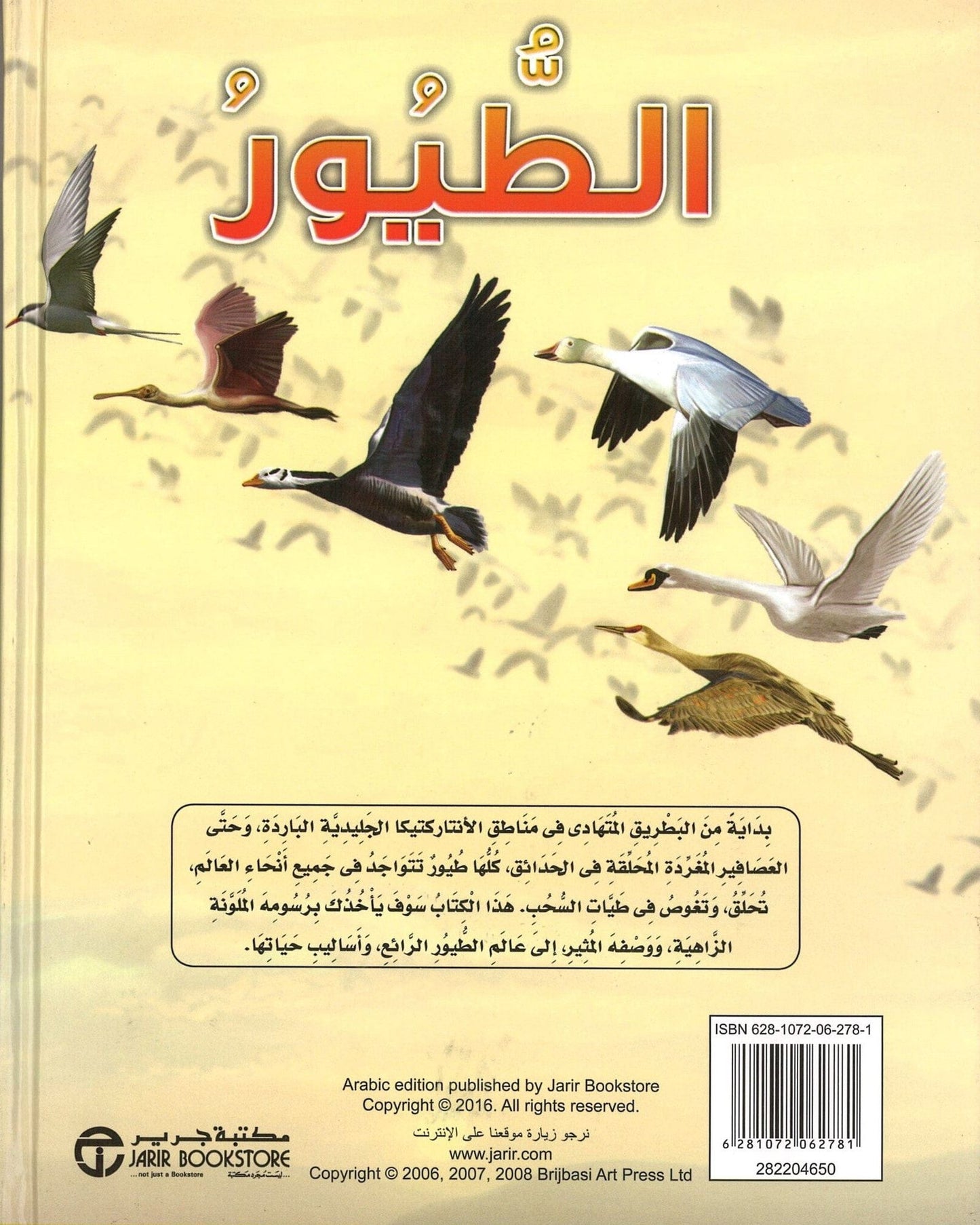 الطيور