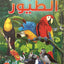 الطيور