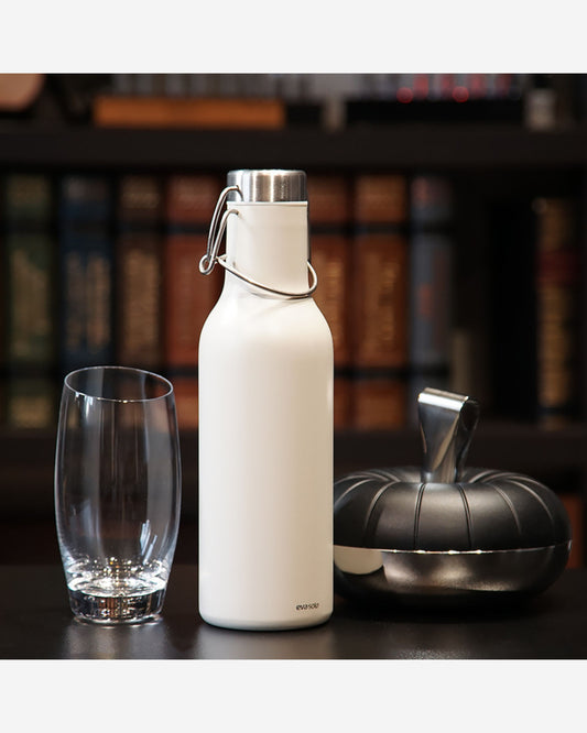 قارورة حرارية باردة من إيفا سولو 567093 سعة 0.7 لتر، لون البتولا