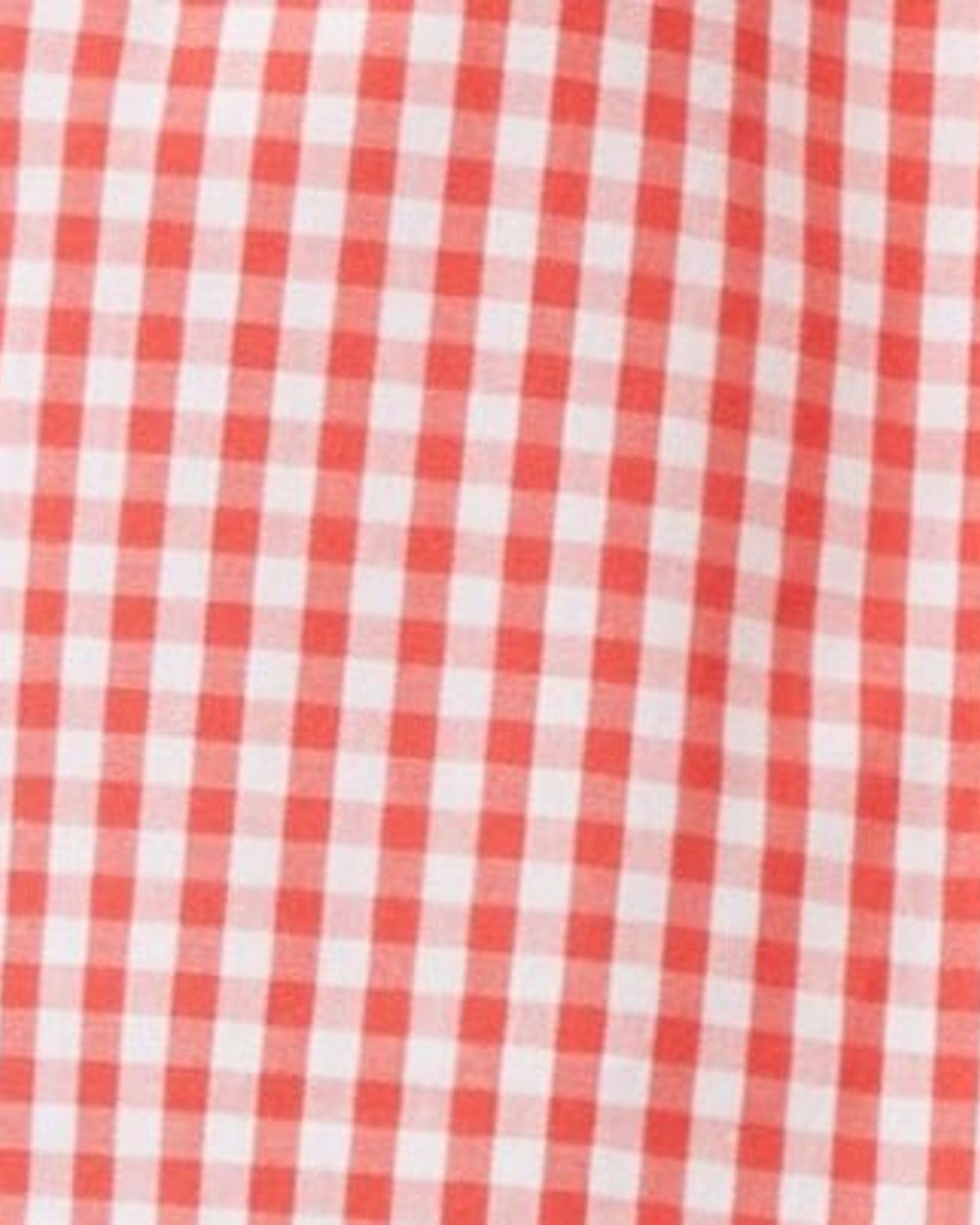 برمودا فيشي مع حزام