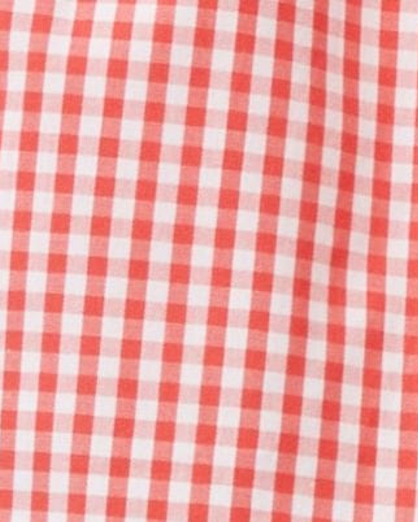 برمودا فيشي مع حزام