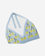 قمة بنمط الفاكهة