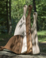 لوح تقطيع من خشب الزان من ليجنوارت بروسكيوتو تيرمو، مقاس 500×230×32 سم، لون فضي