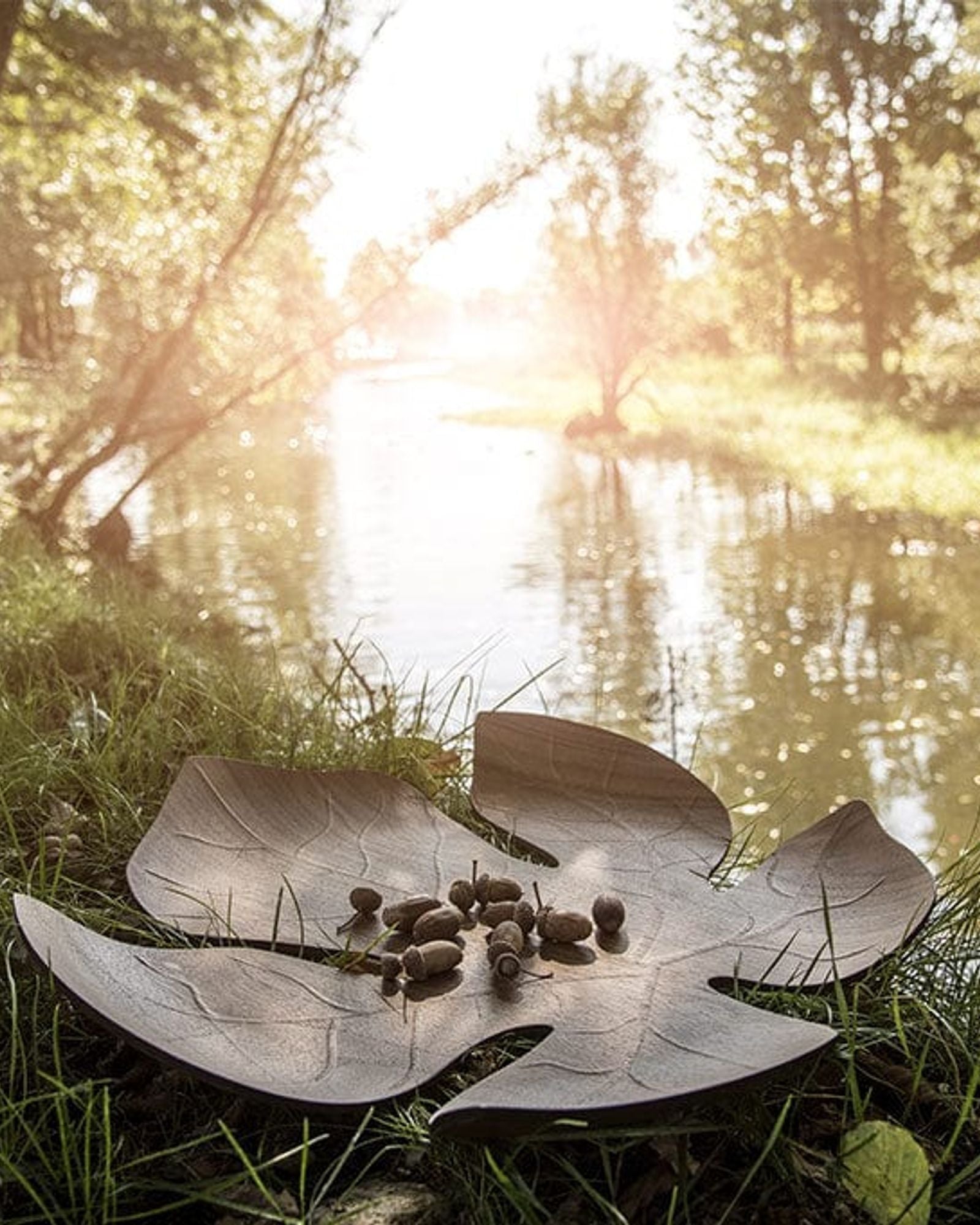 مبشرة الجبنة المخروطية من ليجنوارت، حجم كبير Gc-21