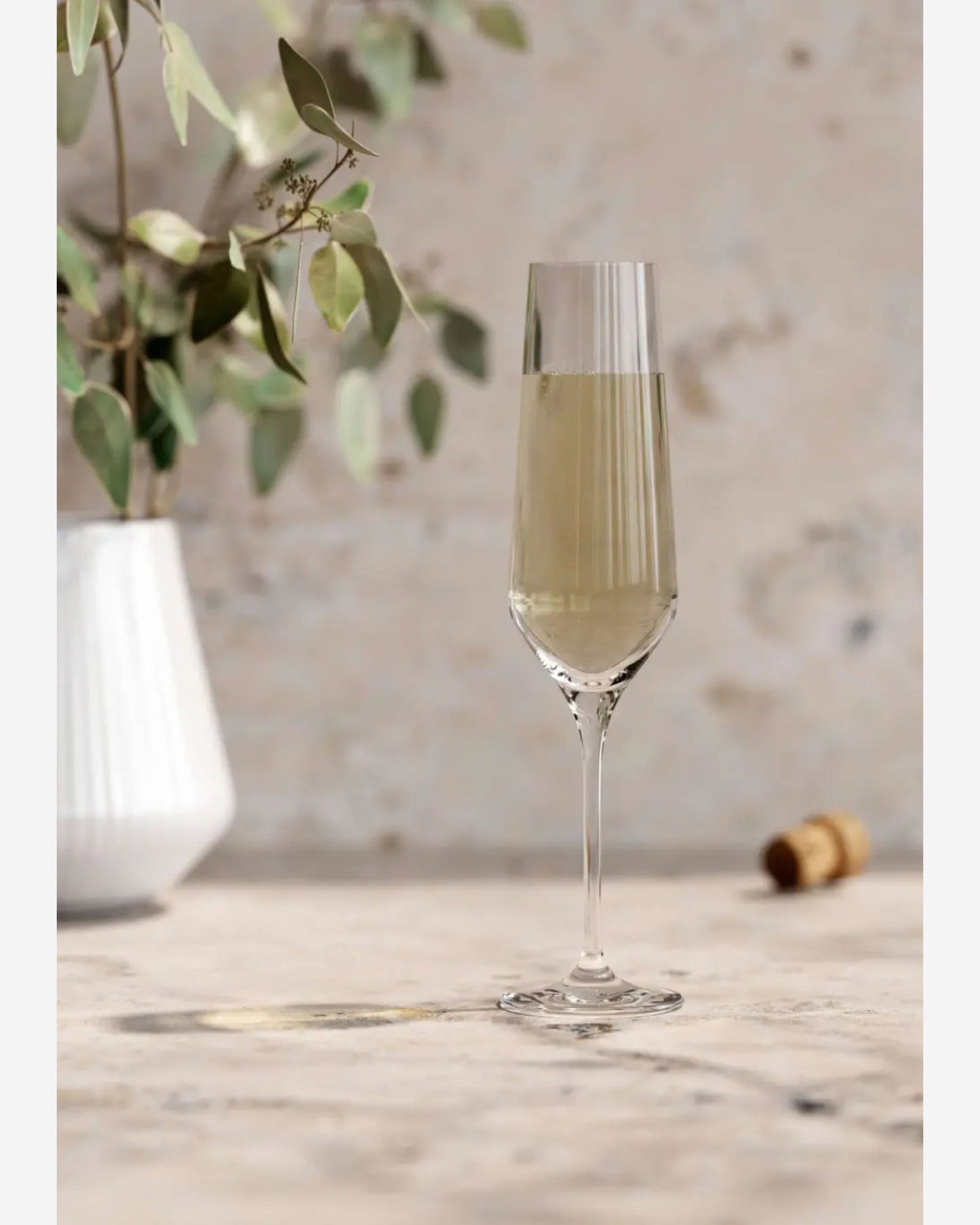 كأس نبيذ إيفا سولو 541204 ليجيو نوفا شامبانيا 6 قطع