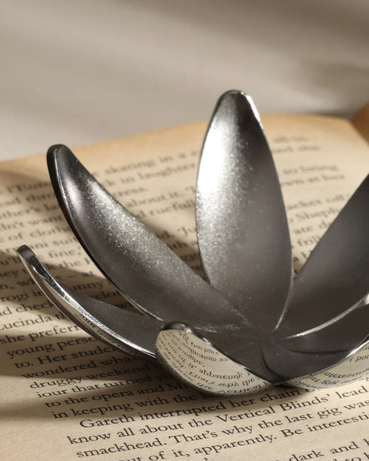 حامل خاتم ماغنوليا من أومبرا، 1/12 كروم