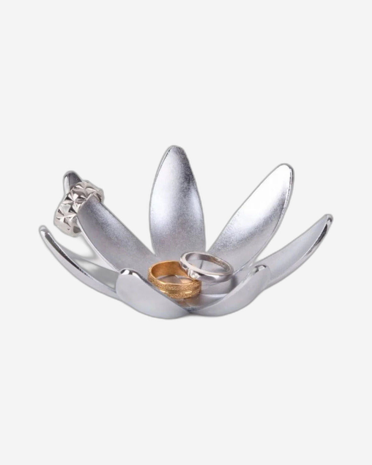 حامل خاتم ماغنوليا من أومبرا، 1/12 كروم