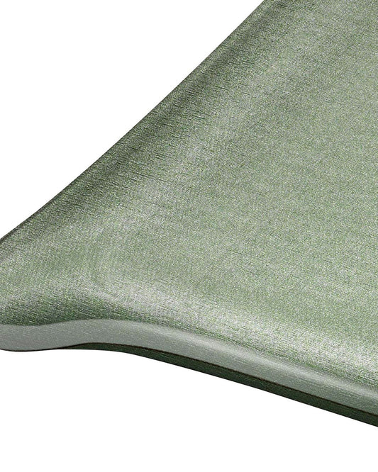 صينية أكريليك بلاتكس سيكريت 46×36 سم، لون أخضر فاتح