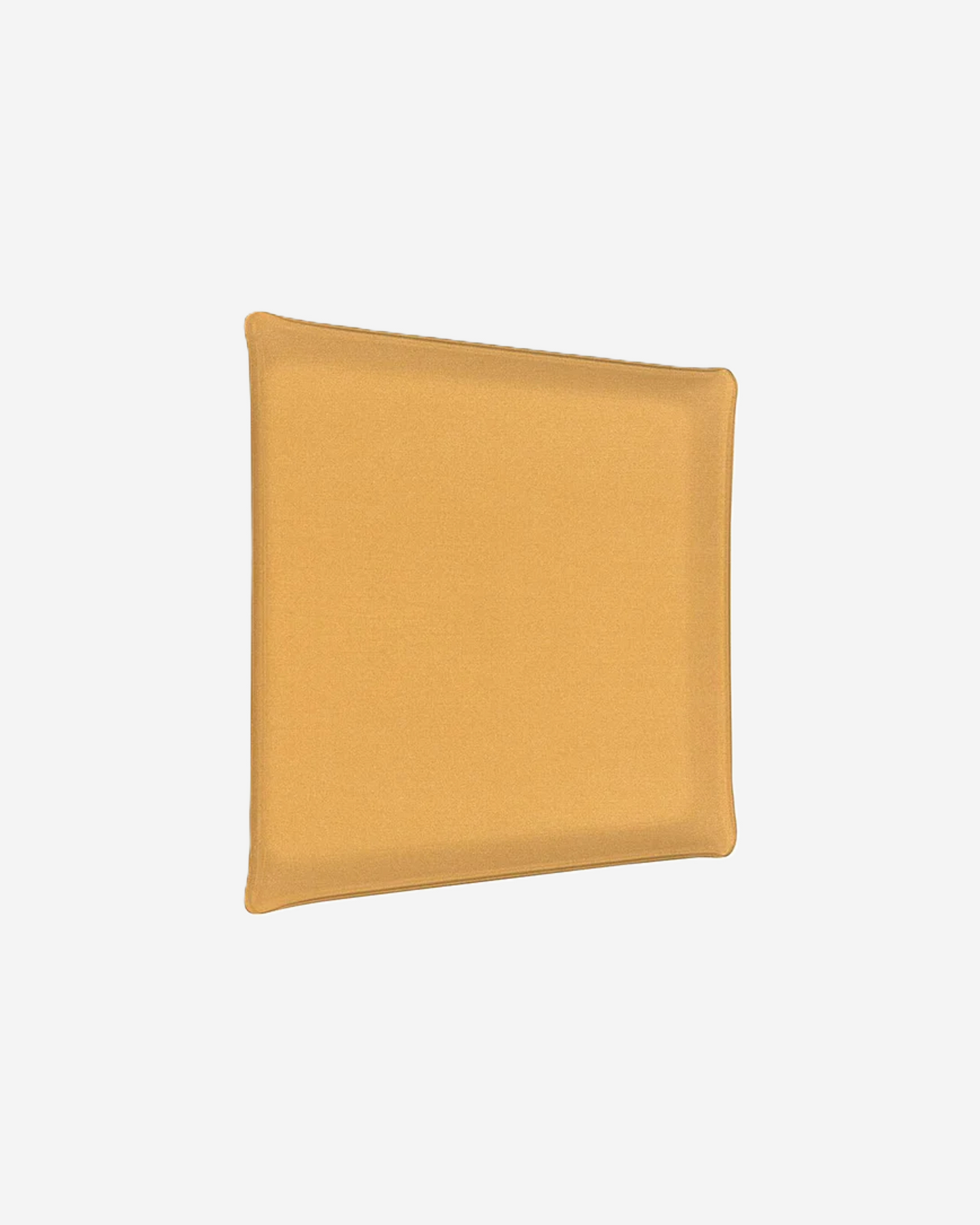 Acrylic Tray 46x36cm Secret Gold