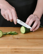 سكين فيسمان متعدد الاستخدامات ٤ بوصات من سلسلة كوش (فولاذ ٥Cr١٥MoV)