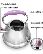 غلاية شاي فيسمان بوني الصافرة باللون الفضي/الأرجواني