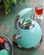 غلاية فيسمان فيليسيتي الصافرة سعة 2.6 لتر، لون أزرق مخضر (فولاذ مقاوم للصدأ)