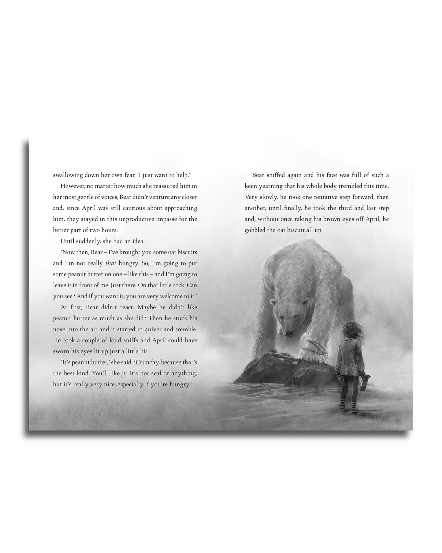 الدب الأخير