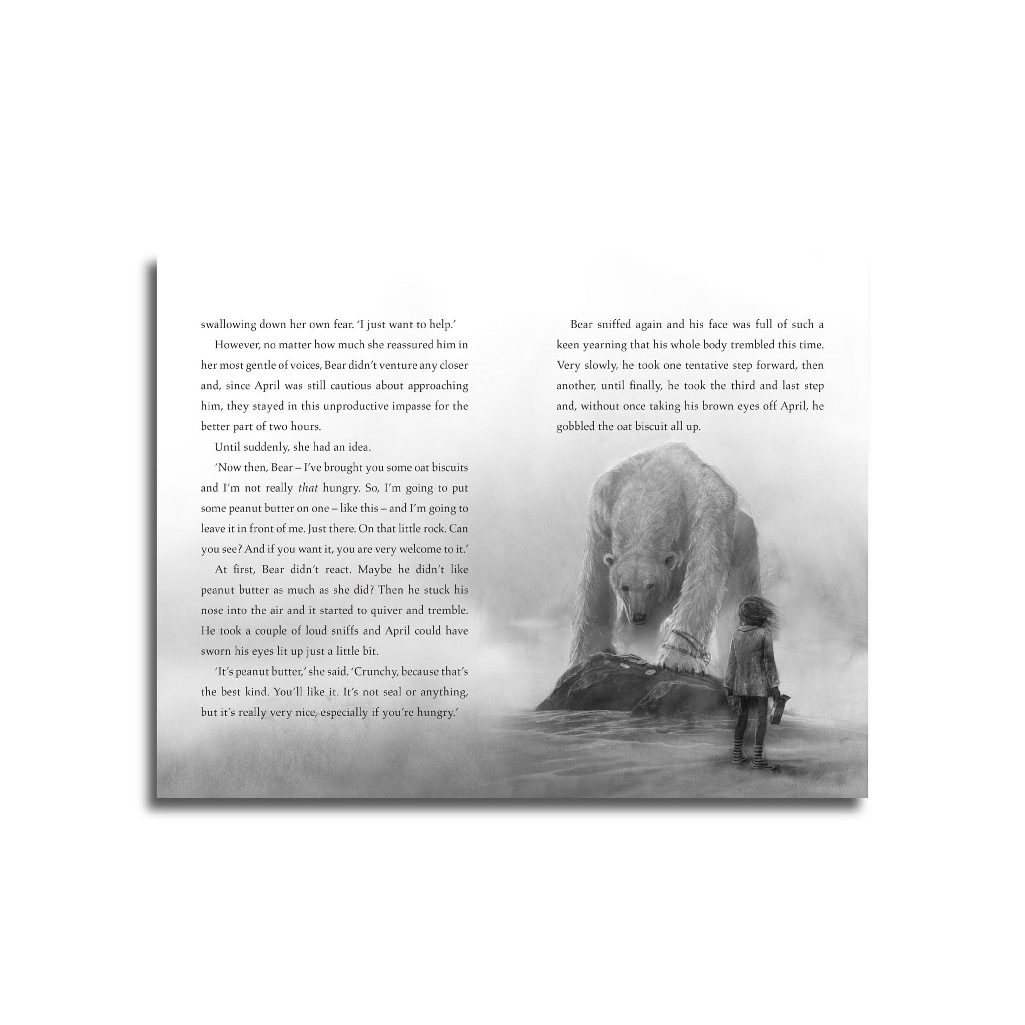 الدب الأخير