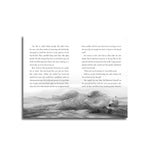 الدب الأخير