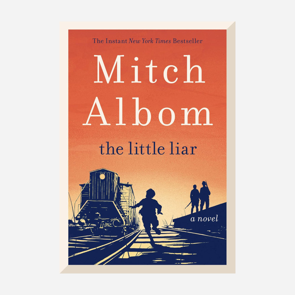 Little Liar : A Novel