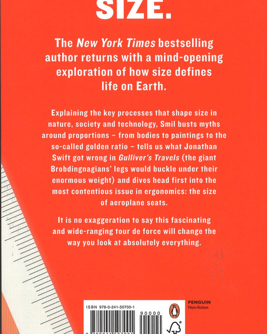 الحجم: كيف يفسر العالم