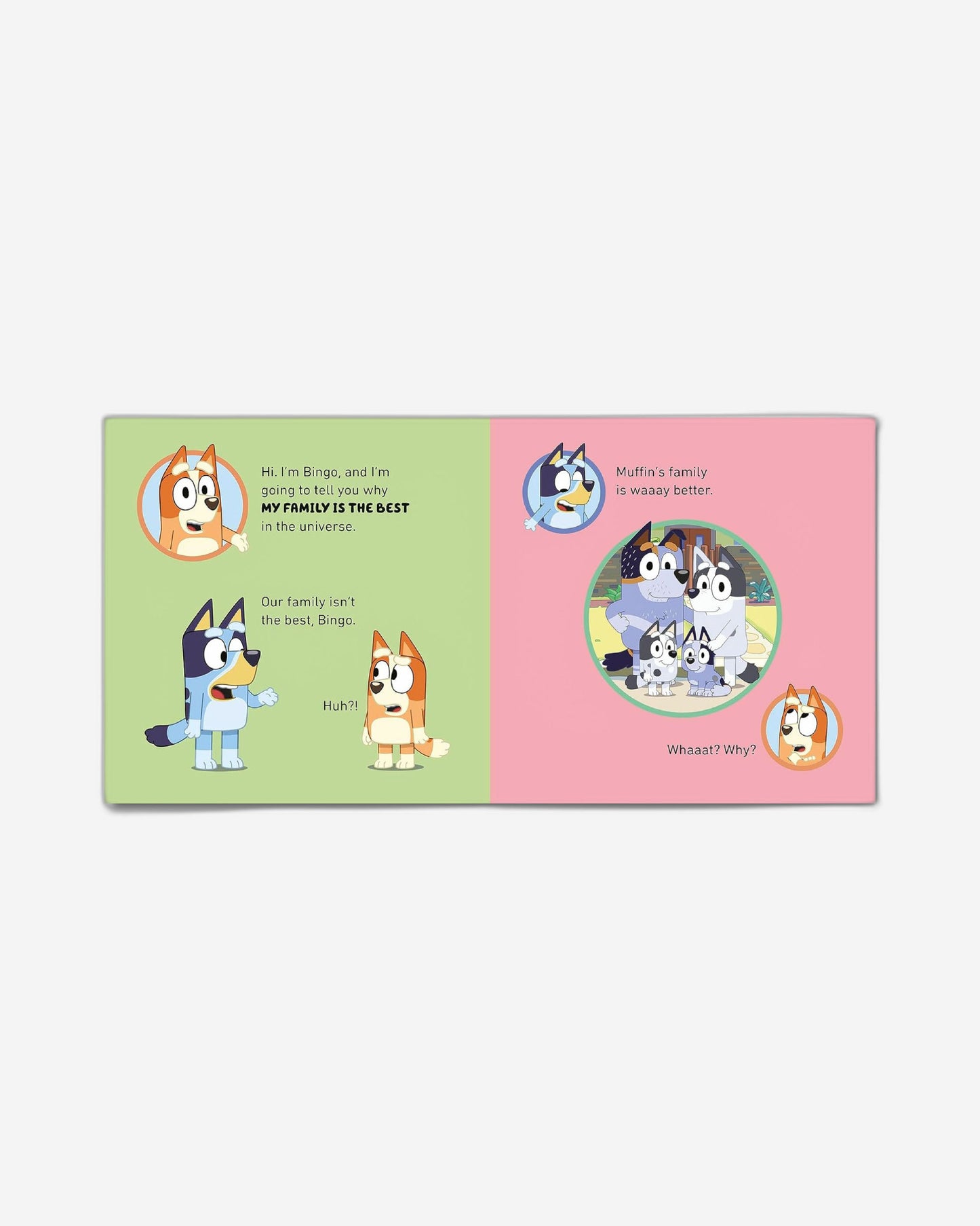 بلوي: أنا أحب عائلتي