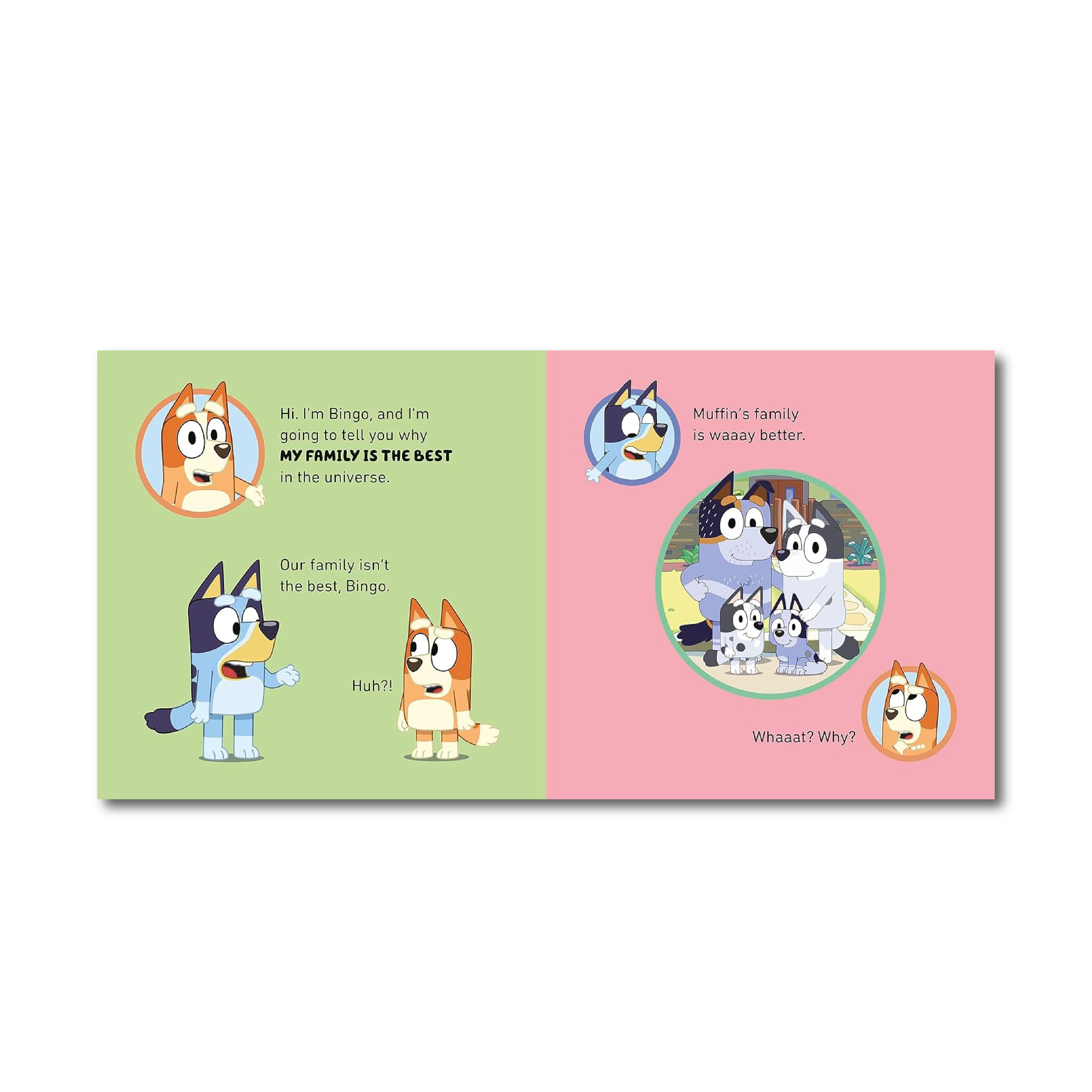 بلوي: أنا أحب عائلتي