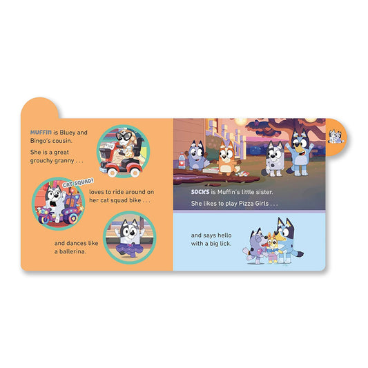 بلووي: تعرف على عائلة بلووي: كتاب من الورق المقوى ذو علامات تبويب