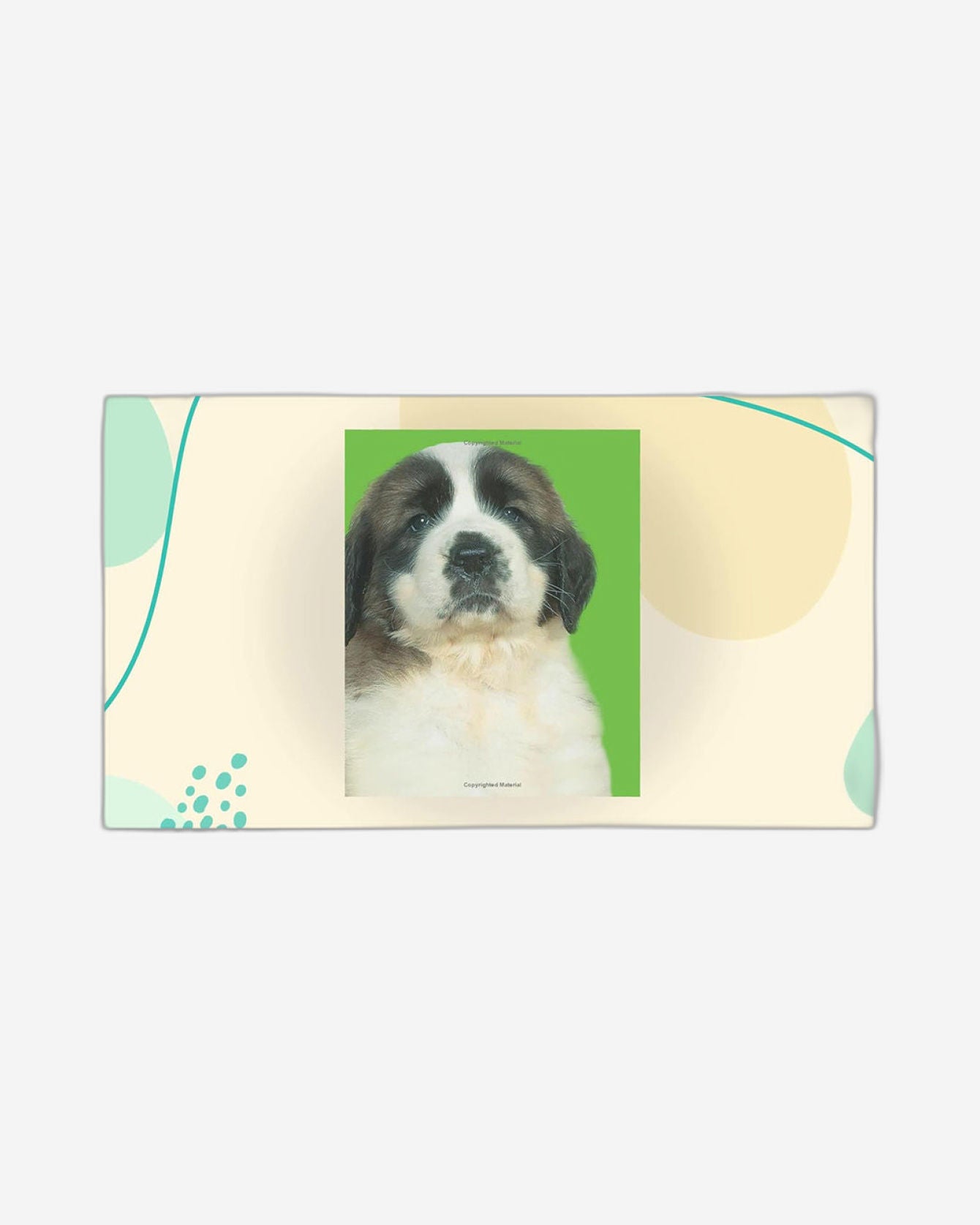 الحيوانات الأليفة المثالية