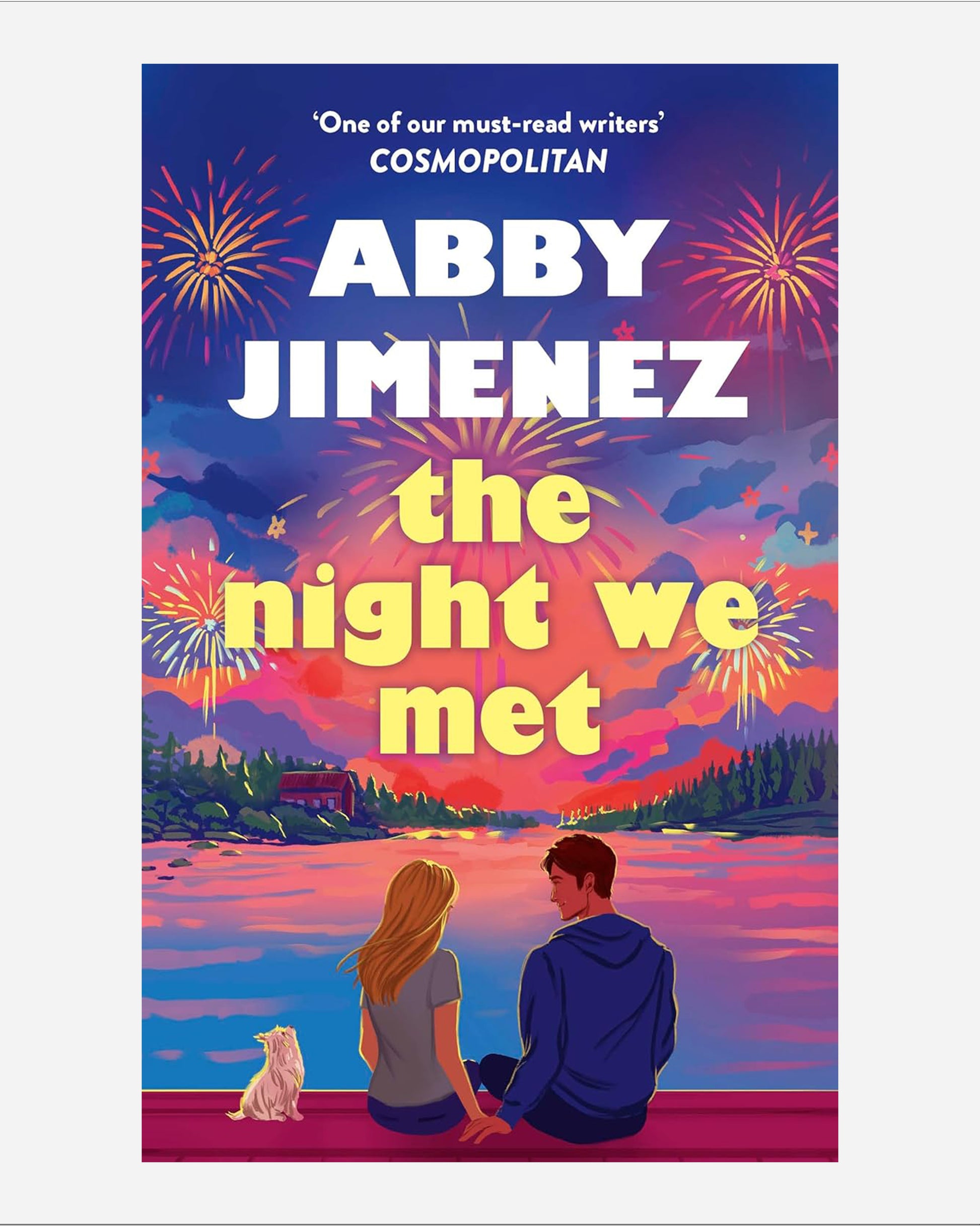 The Night We Met