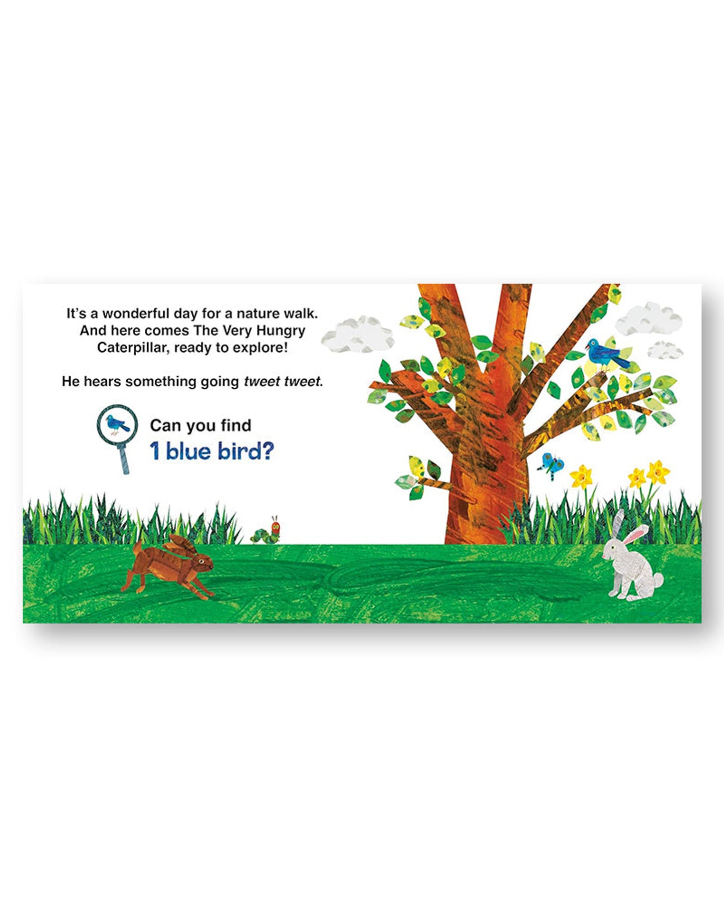 رحلة اليرقة الجائعة جدًا في الطبيعة: كتاب البحث والعثور