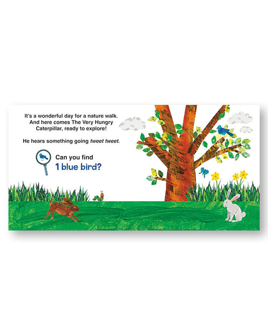 رحلة اليرقة الجائعة جدًا في الطبيعة: كتاب البحث والعثور