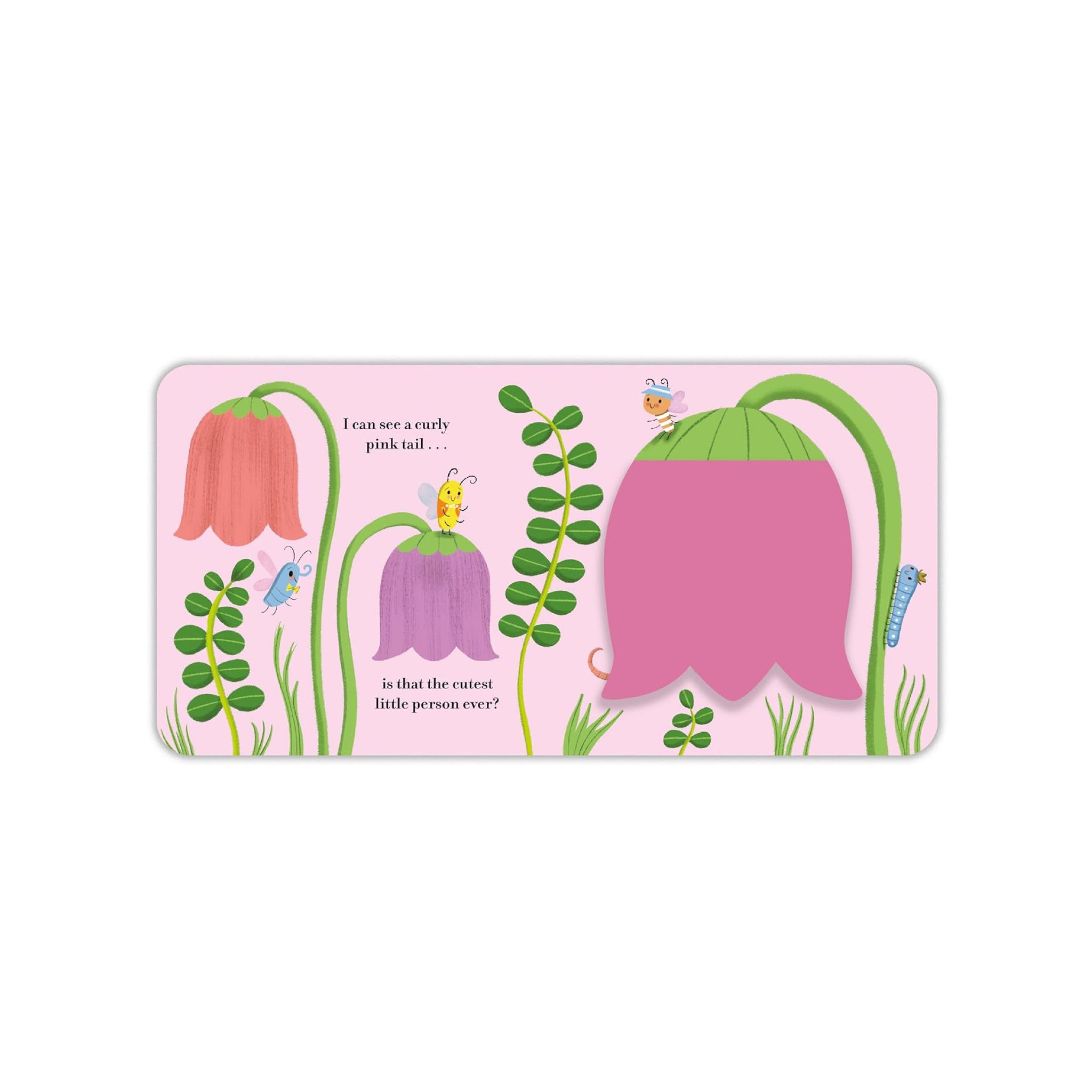 من هو اللطيف؟