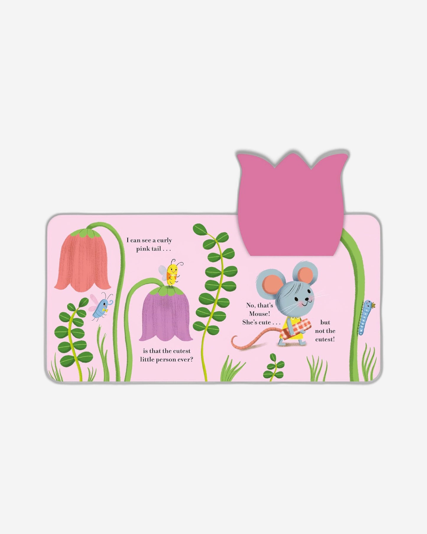 من هو اللطيف؟