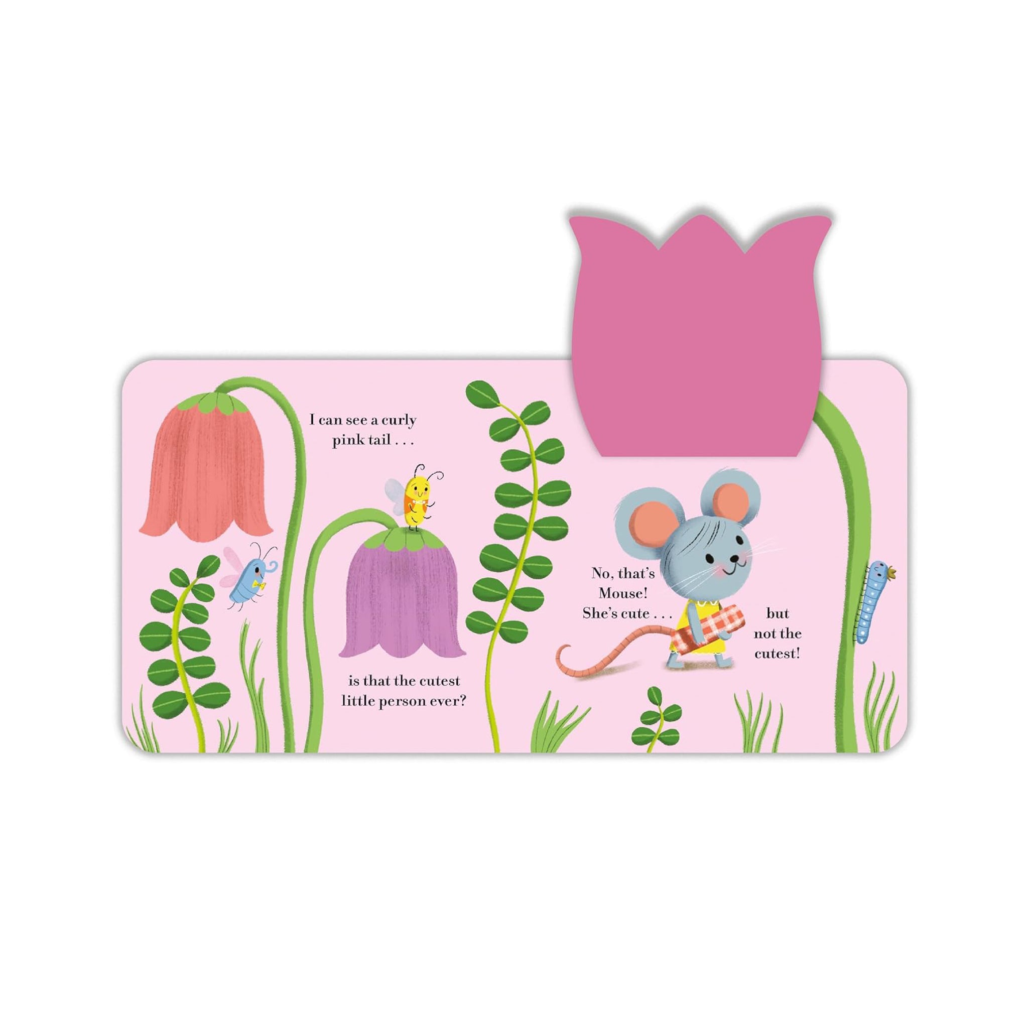 من هو اللطيف؟