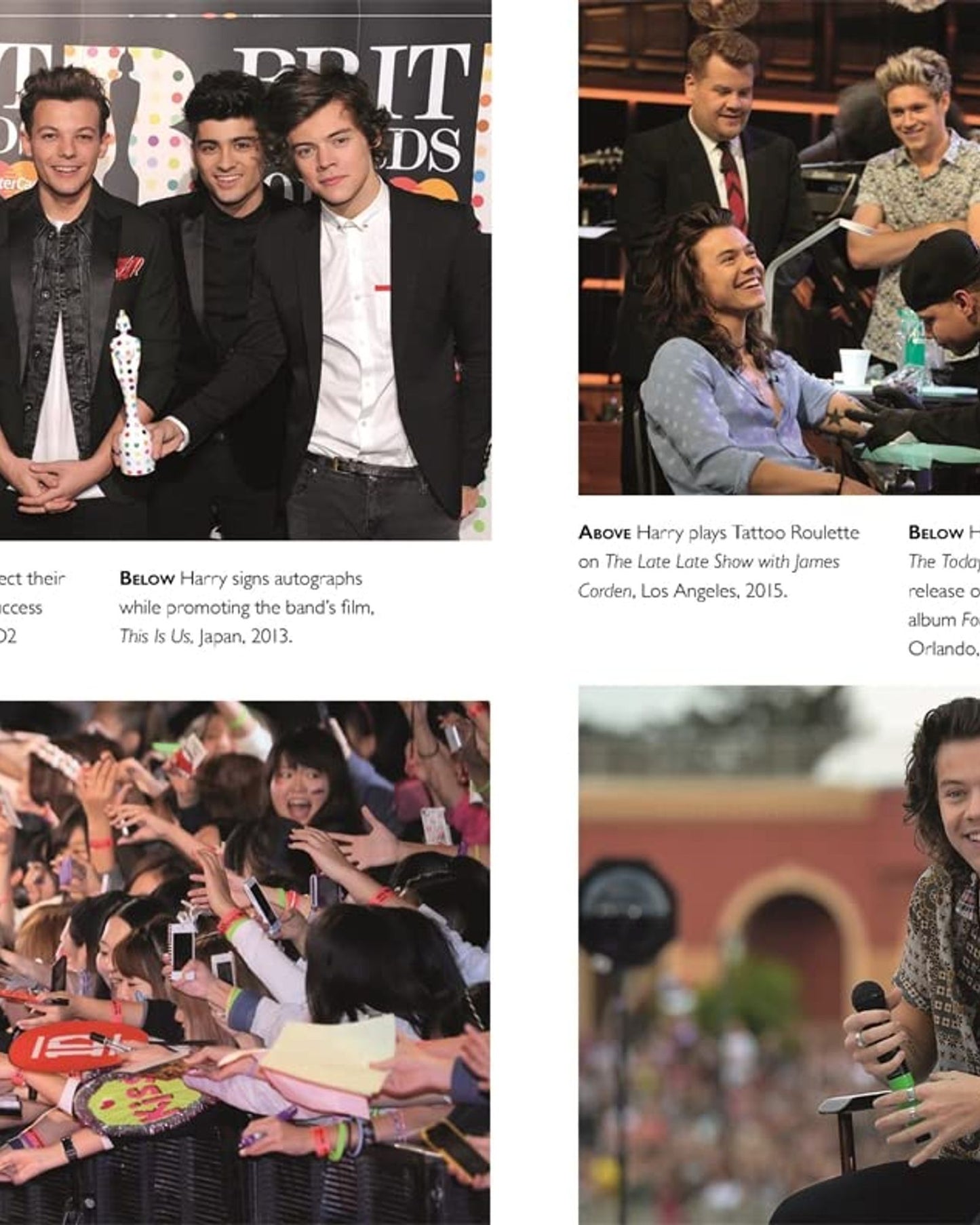 هاري: السيرة الذاتية غير المصرح بها