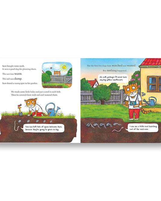 الصندوق الوطني: سام يزرع عباد الشمس