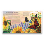 الصندوق الوطني: سماوات الفراشات: انطلق وتعلم عن 20 فراشة جميلة