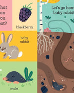 دعنا نعود إلى المنزل يا أرنبي الصغير