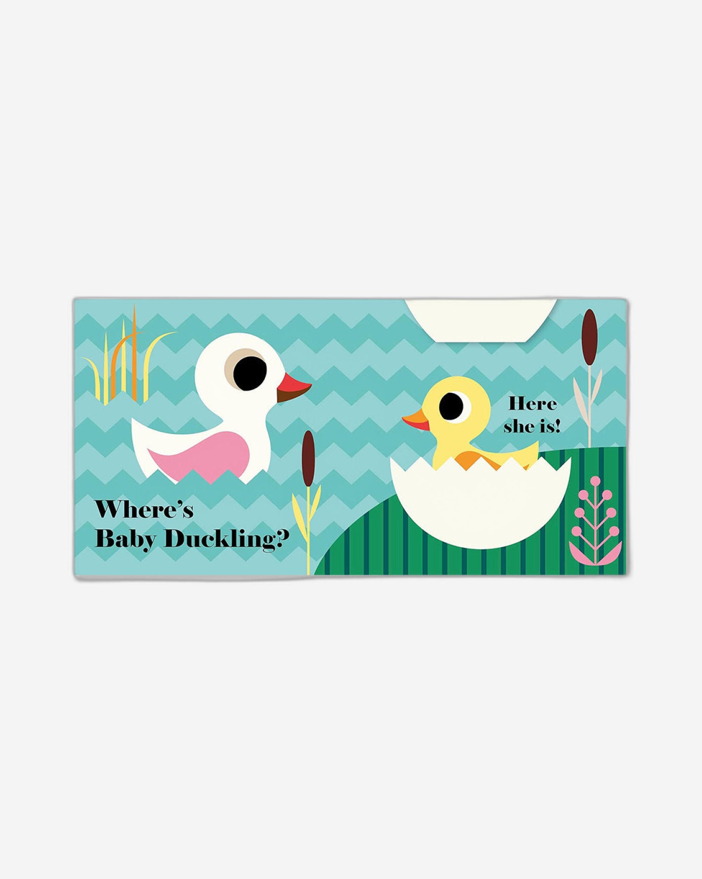 أين الأرنب الصغير؟