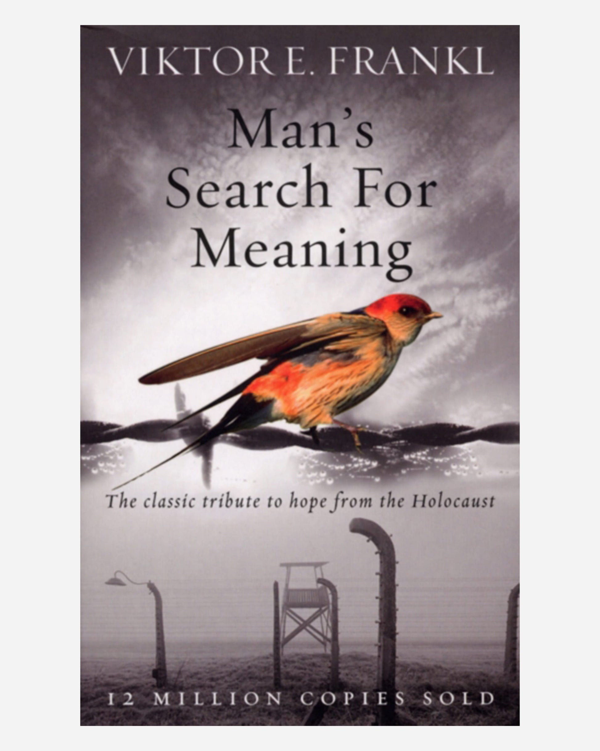 Man's Search For Meaning 